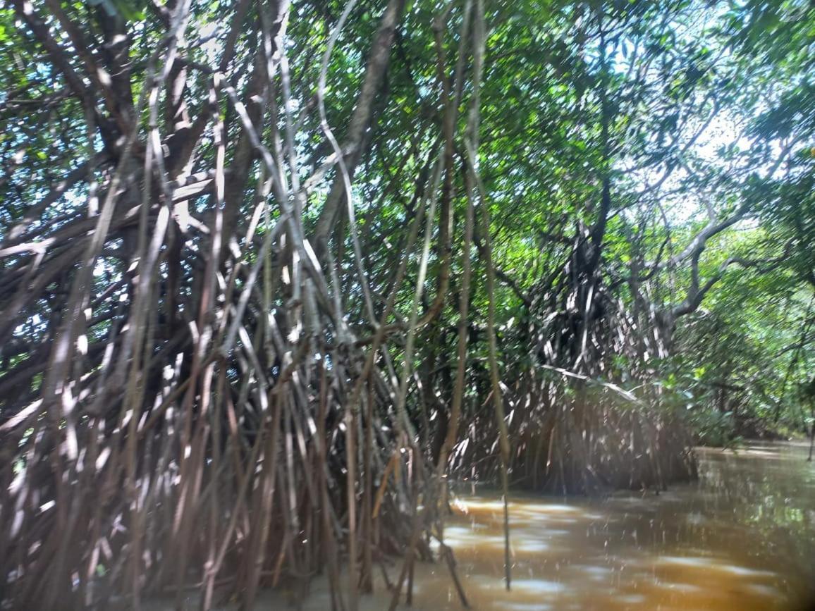 Senu Lagoon Villa Tangalle Buitenkant foto